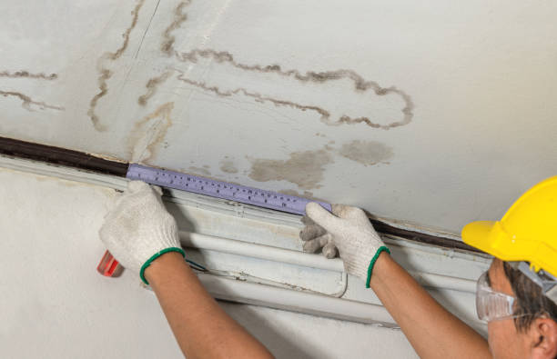 Reliable Water Damage contractor in Linden, MI by Water Damage Irwin
